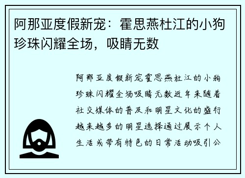 阿那亚度假新宠：霍思燕杜江的小狗珍珠闪耀全场，吸睛无数