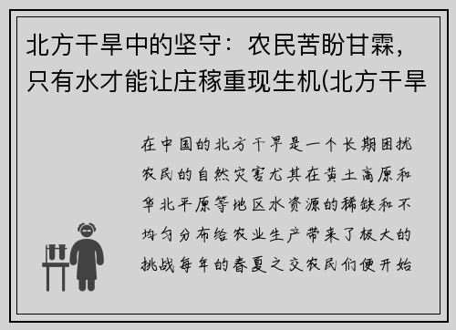 北方干旱中的坚守：农民苦盼甘霖，只有水才能让庄稼重现生机(北方干旱地区)