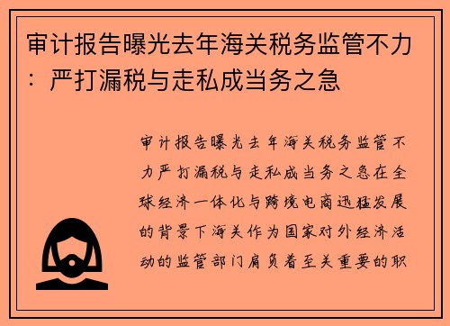 审计报告曝光去年海关税务监管不力：严打漏税与走私成当务之急