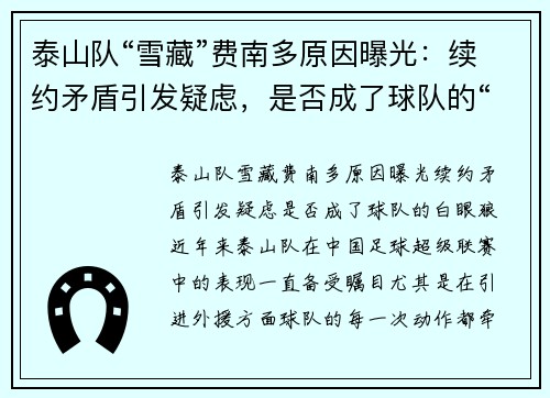 泰山队“雪藏”费南多原因曝光：续约矛盾引发疑虑，是否成了球队的“白眼狼”？