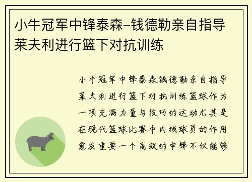 小牛冠军中锋泰森-钱德勒亲自指导 莱夫利进行篮下对抗训练