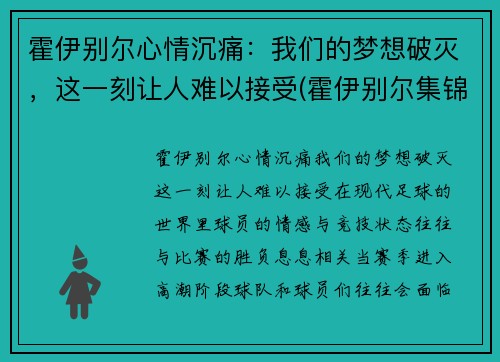 霍伊别尔心情沉痛：我们的梦想破灭，这一刻让人难以接受(霍伊别尔集锦)